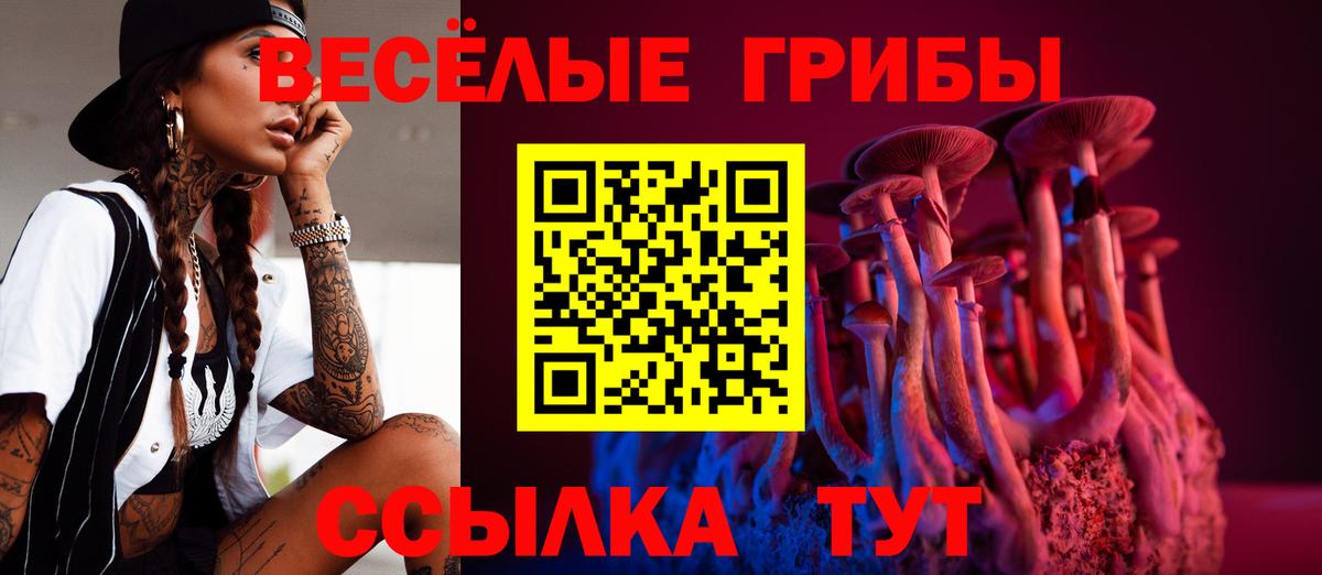 Галлюциногенные грибы Magic Shrooms  где купить наркоту  Скопин  Вход с VPN  Псилоцибиновые грибы Psilocybine cubensis 